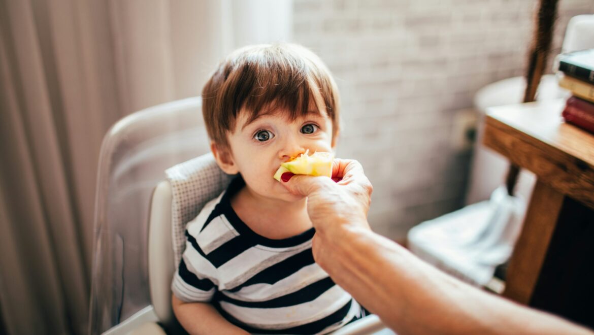Snack Time Made Easy: Healthy Snacks Toddlers Eat