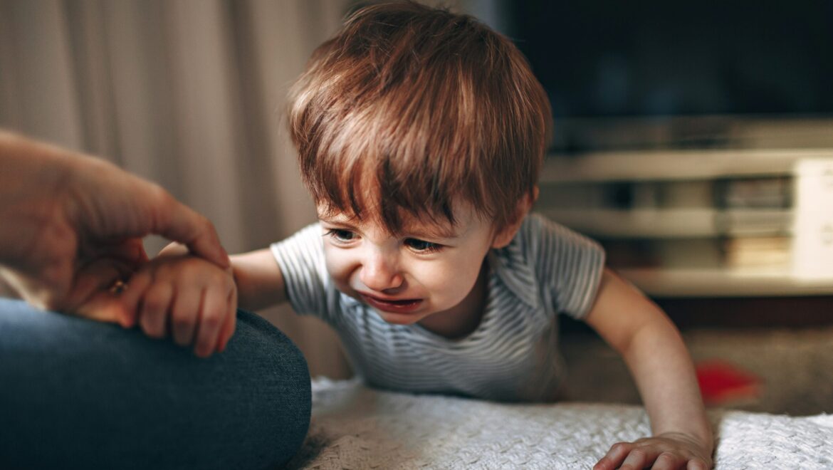 Understanding Toddler Emotions: Why They Cry and How to Respond 