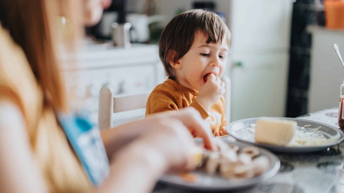 Healthy Meal Ideas for Picky Toddlers That Parents Can Actually Use